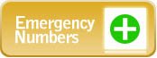 emergency contact numbers