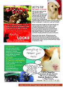 Page 9 - All Things Local - Issue 4
