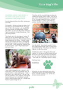 Page 25 - All Things Local - Issue 7