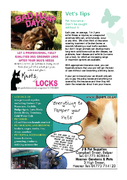 Page 28 - All Things Local - Issue 8