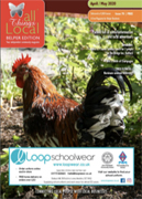 Belper Edition - All Things Local