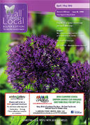 Belper Edition - All Things Local