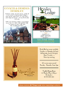 Page 23 - All Things Local - issue 1