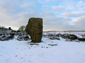 The Cork Stone