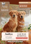 Belper Edition - All Things Local