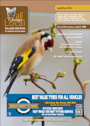 Village edition - all things local